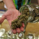 A store employee at a medical cannabis dispensary displays various types of marijuana available to patients on October 19, 2009 in Los Angeles, California.